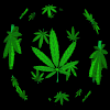 Name:  cana.gif
Views: 305
Size:  43.0 KB